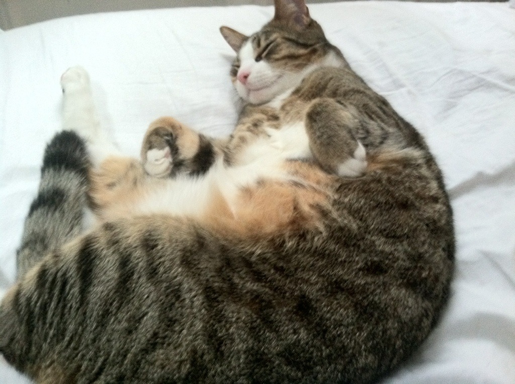 开云体育APP下载-主罚点球的勇气，与换帅疑云后的逆转