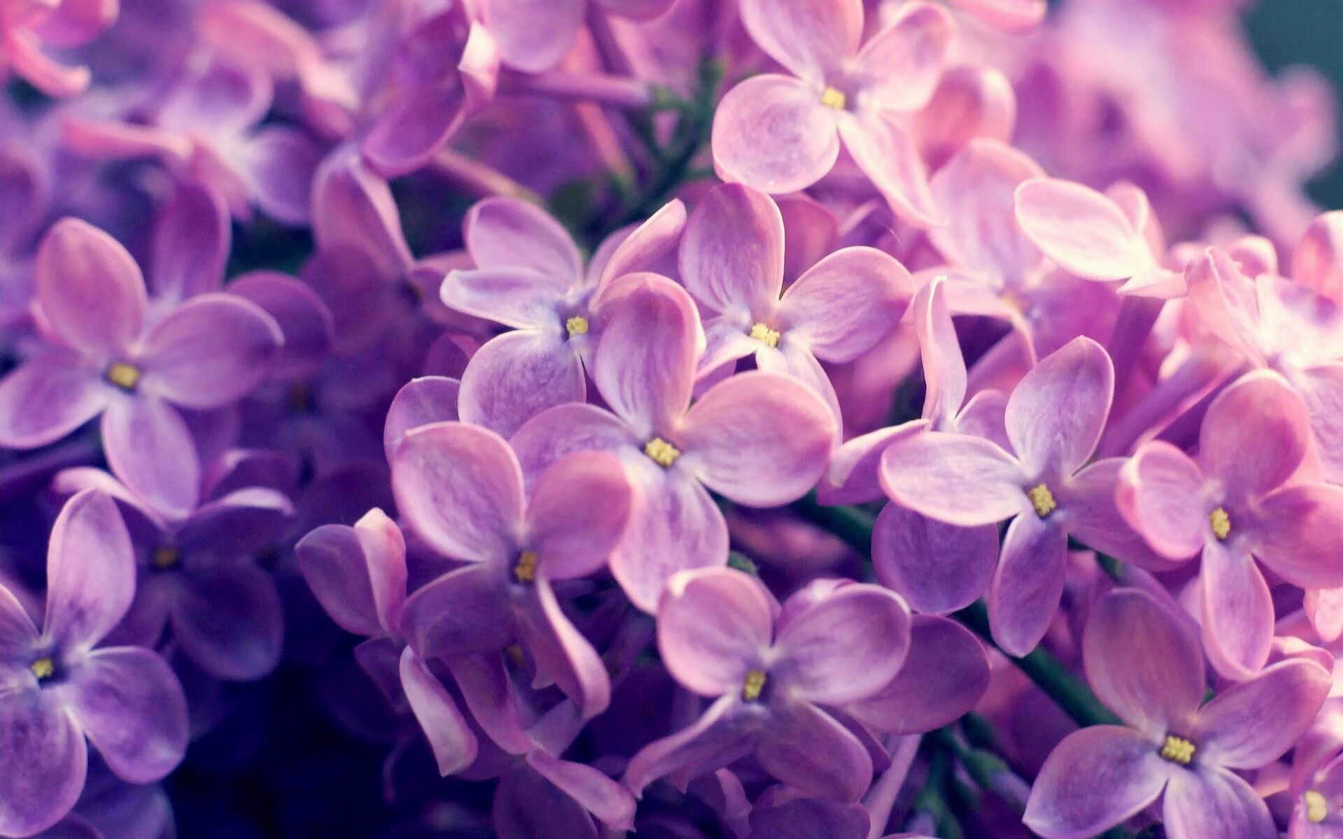 波斯弯刀出鞘,帕尔默利刃破冰,卡塔尔连续重击压制北欧战舰