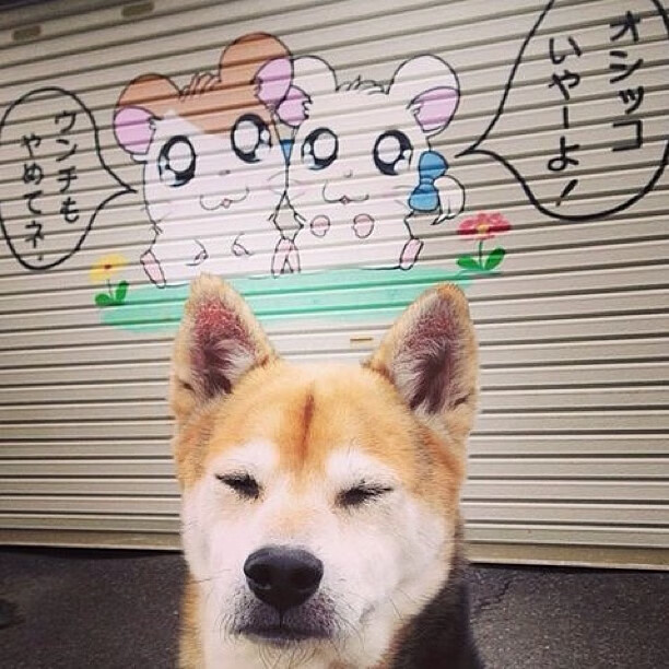 亚洲杯矛盾之争启示录,金玟哉固若金汤,卡塔尔锋利出鞘