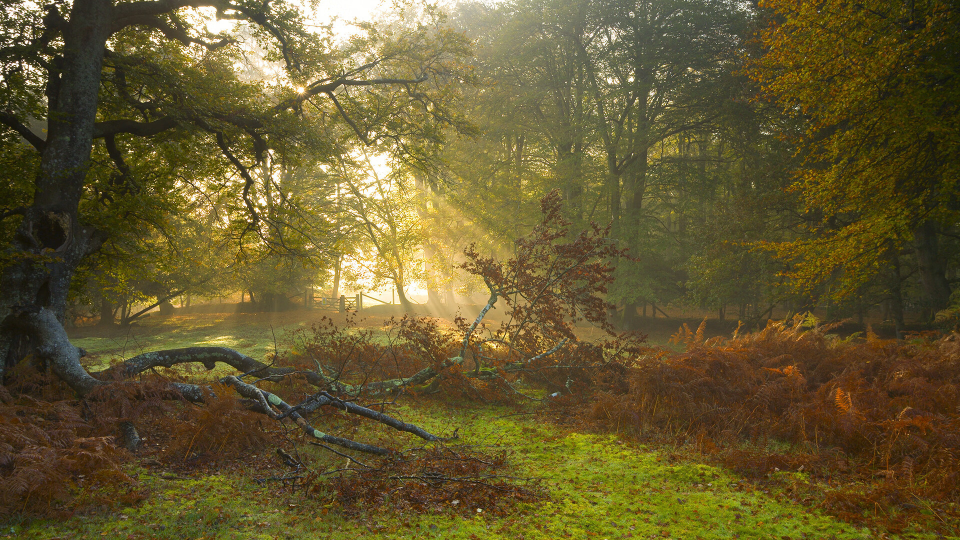 最后一分钟的救赎，莫德里奇错失点球却成为英雄