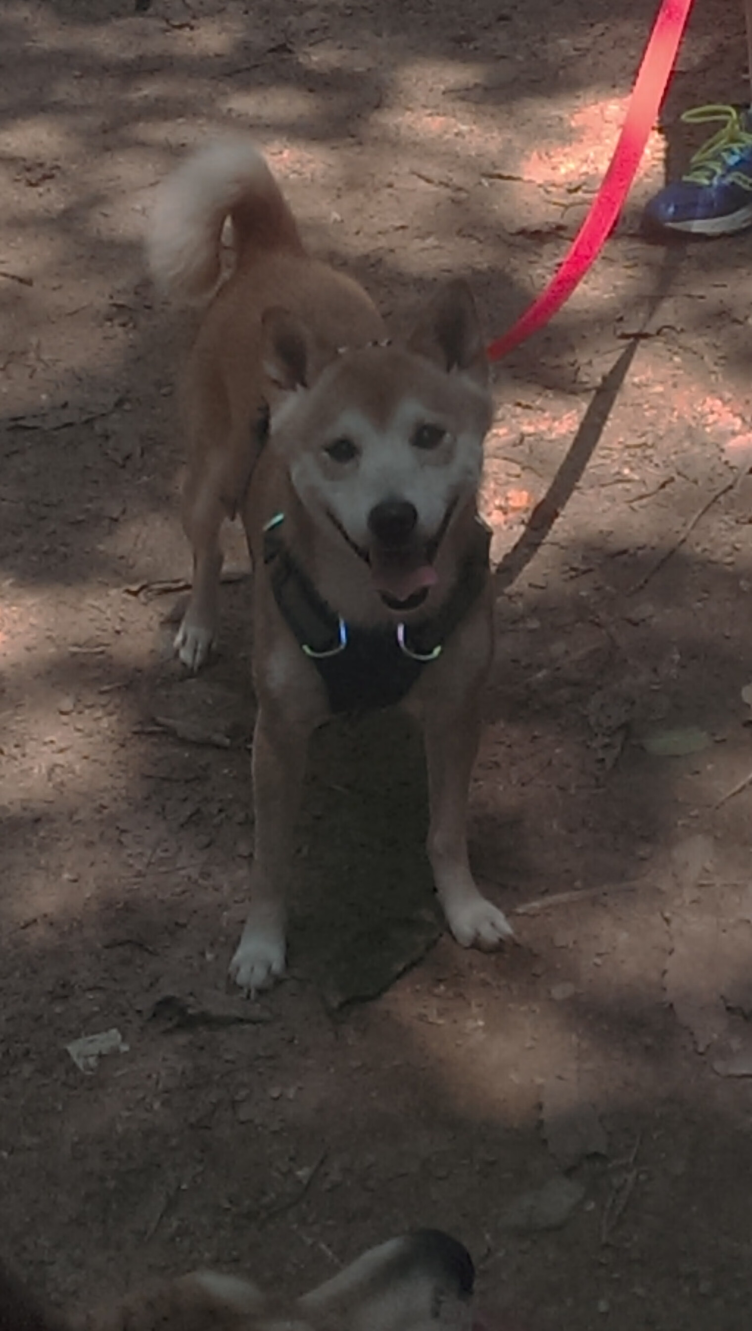开云体育在线-当凯塞多化身切尔西的梅西，一场没有梅西的比赛，却拉满了梅西的评分标准