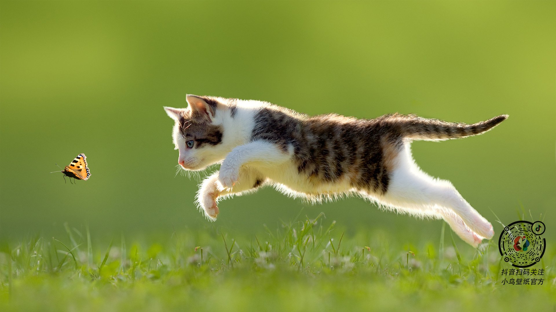 卡拉斯科一剑封喉!多特蒙德碾压葡萄牙劲旅,关键先生名不虚传