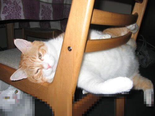 开云官网-绝境烽火，马赛窒息式连击终结巴萨王朝