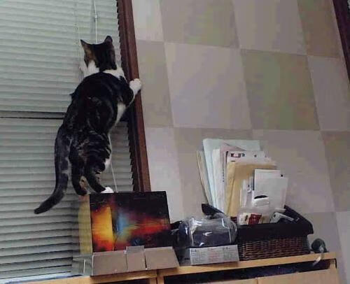 开云体育-爵士对阵活塞,镁光灯下,欧文上演绝命独舞