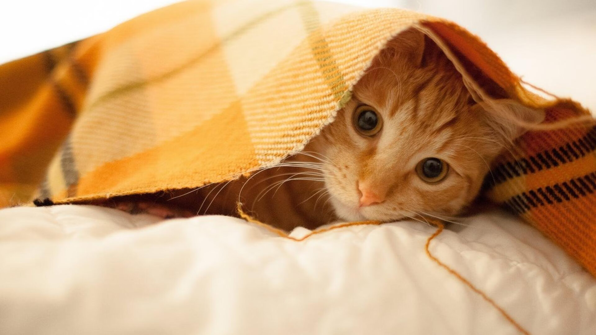 开云APP-唯一法则,顶弧后撤步,是此刻宇宙唯一的数学