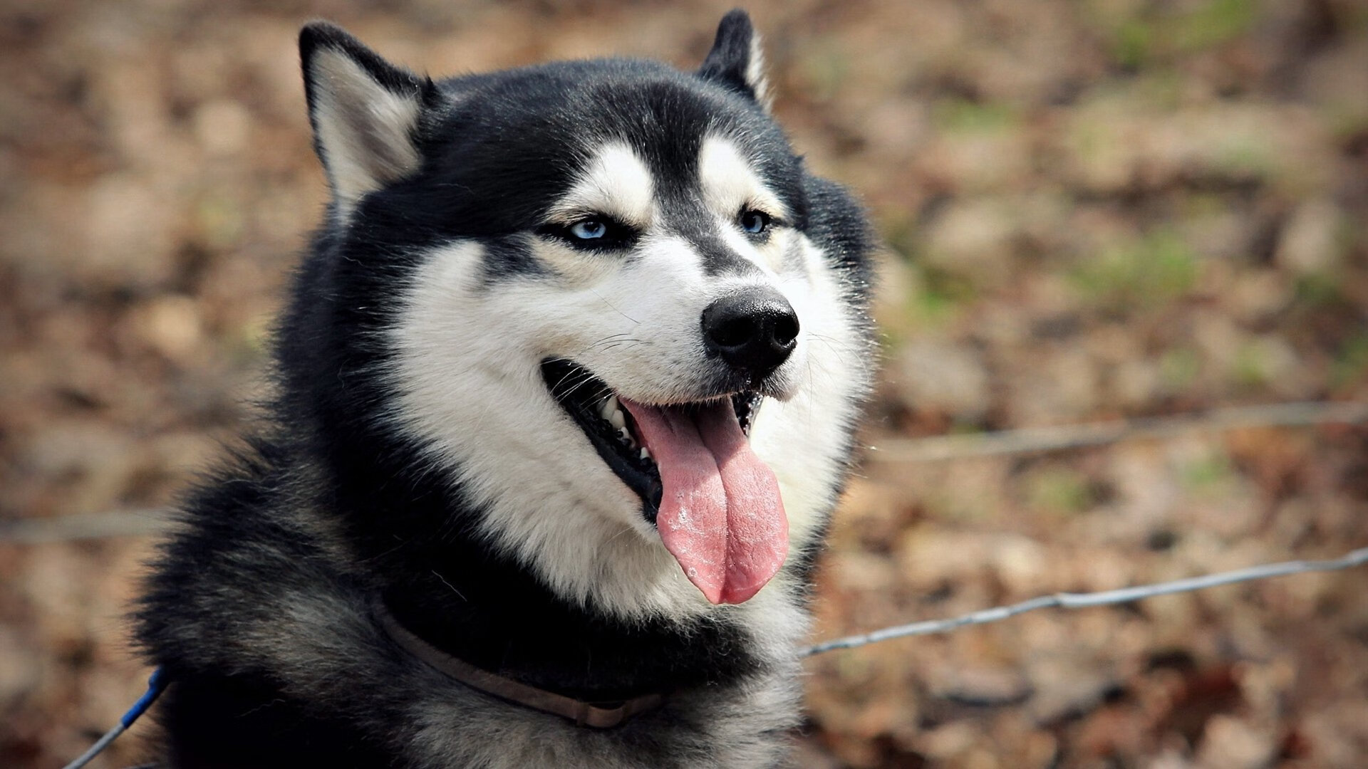 开云APP-首先，我们来构思一个独一无二的标题