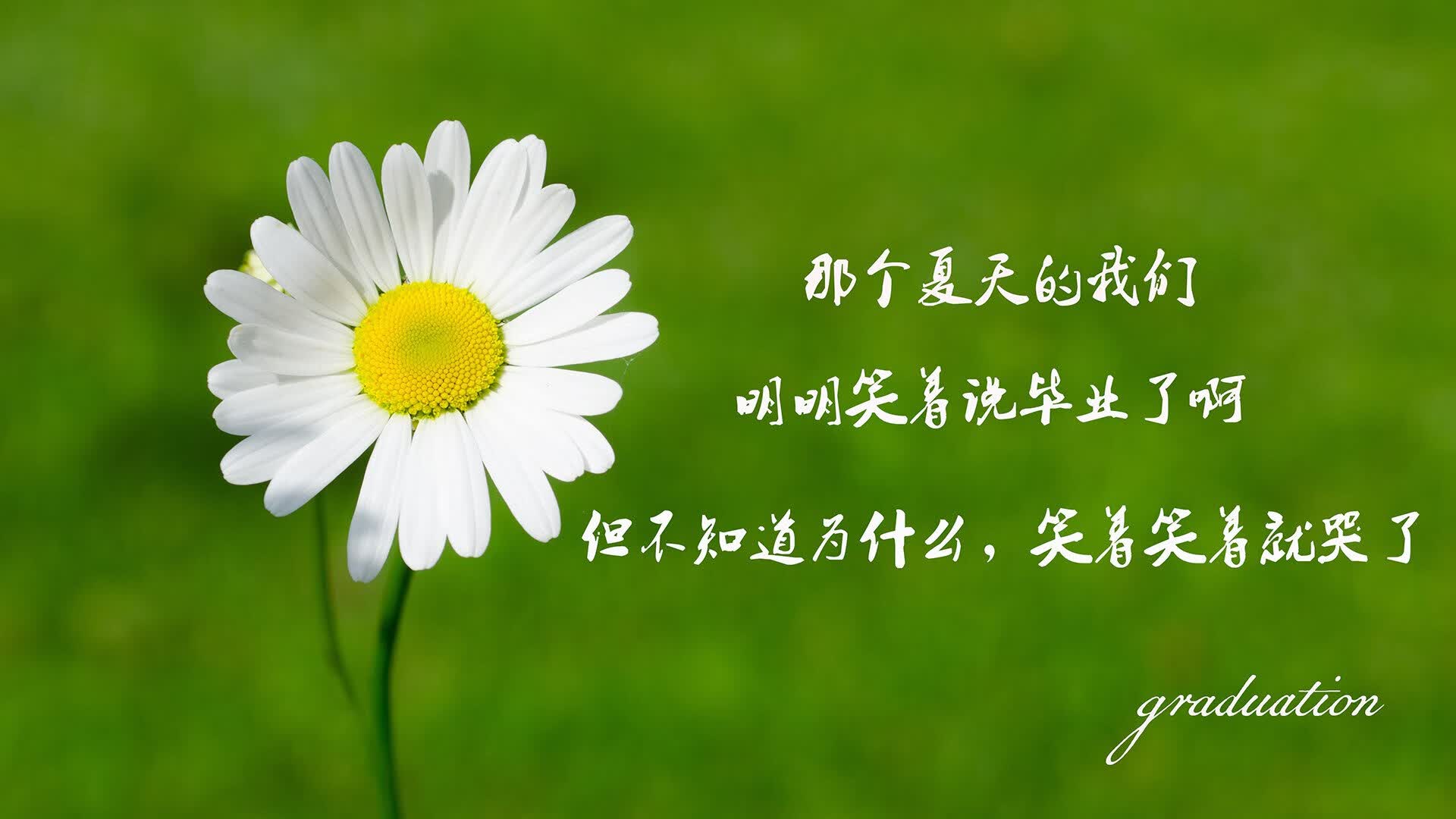 沙漠中的火玫瑰，2026世界杯E组智利险胜乌兹别克，阿方索·戴维斯用速度撕裂中亚铁幕