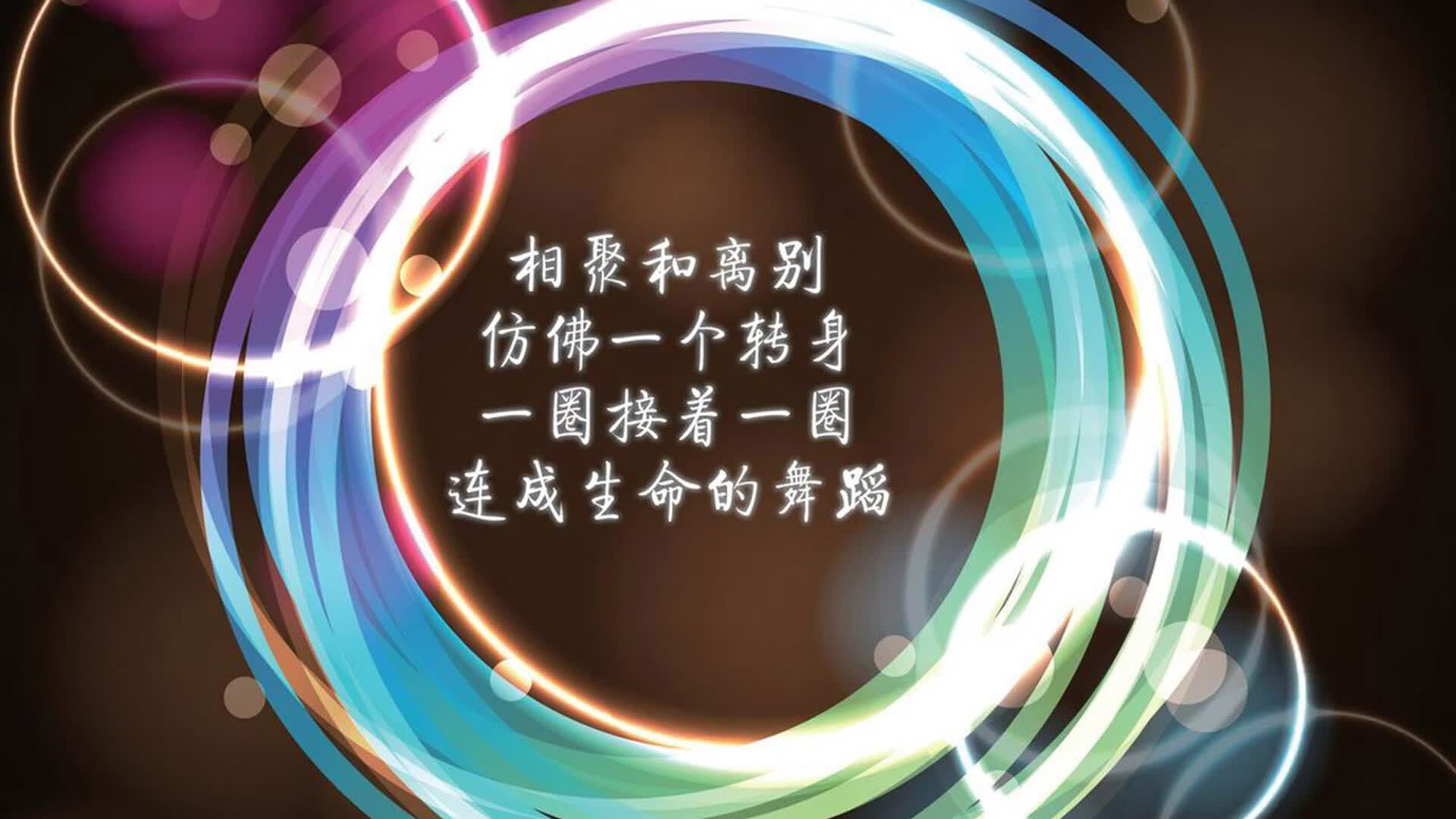 极速狂飙,比利时红色风暴无情碾压冰岛,维尼修斯独舞世界杯争冠战