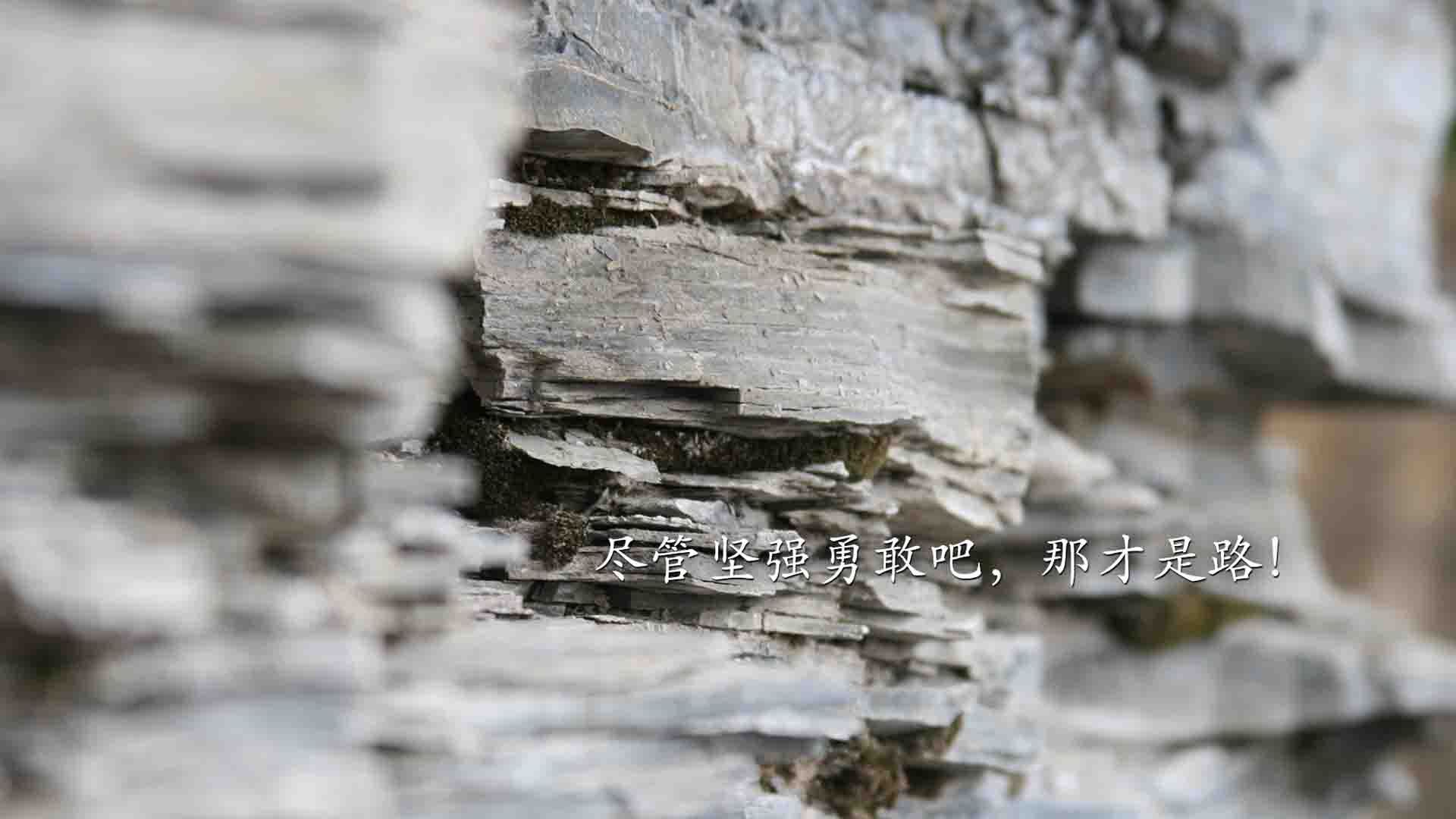 极北之光,2026世界杯黑马之战,挪威如何用冰雪智慧压制枫叶军团,巴雷拉一战封神