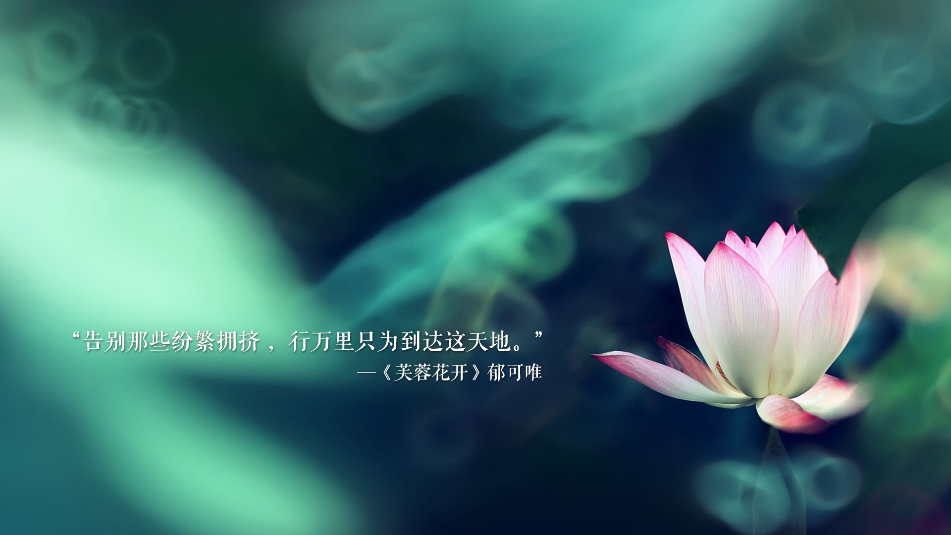 东瀛风暴,2026世界杯B组焦点战,久保建英导演史诗逆转,日本2-1击碎巴西神话